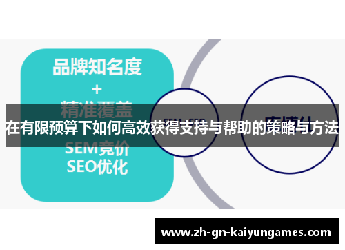 在有限预算下如何高效获得支持与帮助的策略与方法