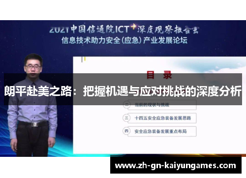 朗平赴美之路：把握机遇与应对挑战的深度分析