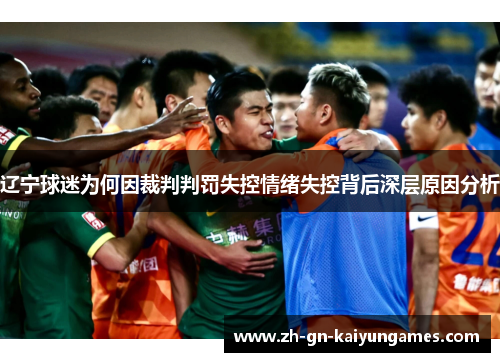 辽宁球迷为何因裁判判罚失控情绪失控背后深层原因分析