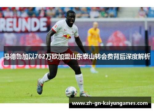 马德鲁加以762万欧加盟山东泰山转会费背后深度解析
