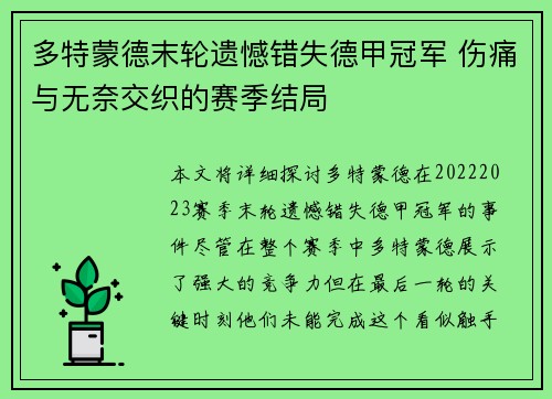 多特蒙德末轮遗憾错失德甲冠军 伤痛与无奈交织的赛季结局
